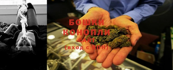 стафф Костерёво