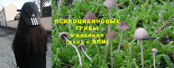 стафф Костерёво